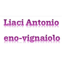 Liaci Antonio eno-vignaiolo, Veglie orari di apertura
