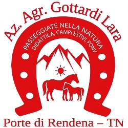 Azienda Agricola Gottardi Lara, Porte di Rendena orari di apertura