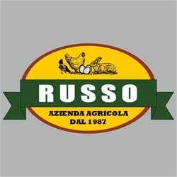 Azienda agricola Russo, Castel Morrone orari di apertura
