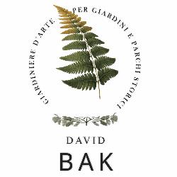 David Bak, Castelnuovo di Porto orari di apertura