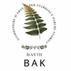 David Bak, Castelnuovo di Porto orari di apertura