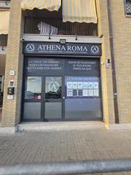Athena Roma Limousine scarl orari di apertura