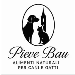 Pieve Bau, Pieve di Cento orari di apertura