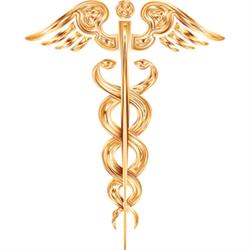 Farmacia Breviglieri, Correggioli orari di apertura