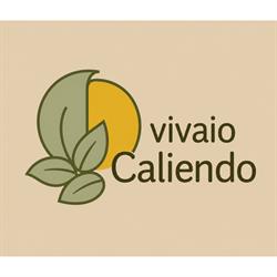 Vivaio Caliendo, Mariglianella orari di apertura