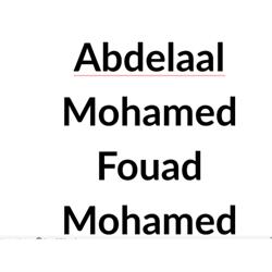 Ditta Abdelaal Mohamed Fouad Mohamed, Bollate orari di apertura