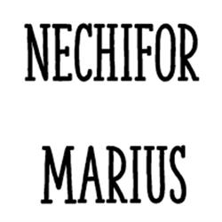Nechifor Marius, Atessa orari di apertura