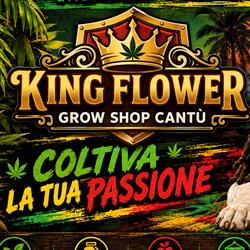Articoli per Coltivazione Indoor Cantù orari di apertura