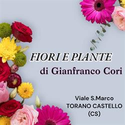 Negozio di Fiori di Gianfranco Cori, Torano Castello orari di apertura