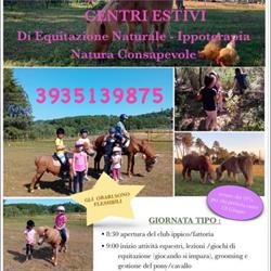 Michyhorse, Montecarlo orari di apertura