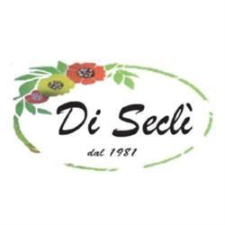 Agenzia Funebre F.lli di Seclì, Gemini orari di apertura
