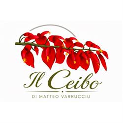 Il Ceibo di Varrucciu Matteo, Telti orari di apertura