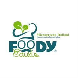 FOODY EDULIS, San Ferdinando di Puglia orari di apertura