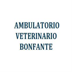Ambulatorio Veterinario Bonfante, Cigliano orari di apertura