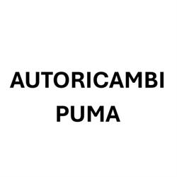 Autoricambi Puma orari di apertura
