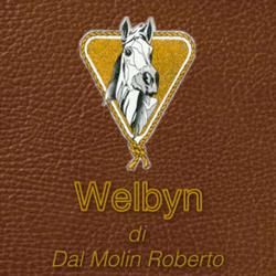 Welbyn Di Dal Molin Roberto, Arzignano orari di apertura