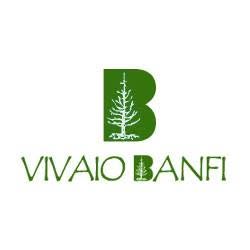 Vivaio Banfi Di Banfi Lodovico & C. (S.n.c.), Garbagnate Milanese orari di apertura