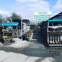 Vivai Valtolina, Crema orari di apertura