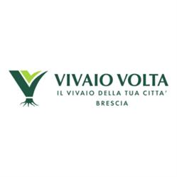 Vivaio Volta, Brescia orari di apertura