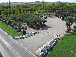 Vivai Piante Az. Agricola Previdi Guido, Massa finalese orari di apertura