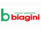 Vivai Piante Biagini S.S. Di Antonio Biagini & Figli, Pistoia orari di apertura