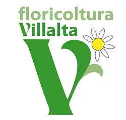 Villalta Floricoltura (S.n.c.), Pordenone orari di apertura