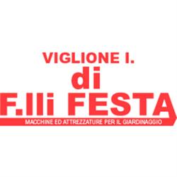 Viglione Ilario Fratelli Festa, Novara orari di apertura