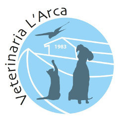 Clinica Veterinaria L'Arca, Cortona orari di apertura