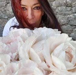 Verdi Fantasie SNC, Pistoia orari di apertura