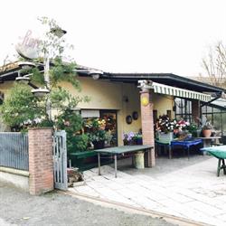 Verdelli Piera, Monticelli d'Ongina orari di apertura