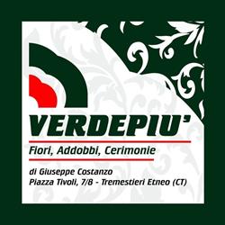 Verdepiu' Di Trigila Pier Luigi, Tremestieri Etneo orari di apertura