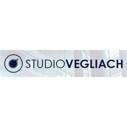 Studio Tecnico Vegliach s.r.l., Trieste orari di apertura
