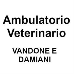 Ambulatorio Veterinario Vercelli, orari di apertura