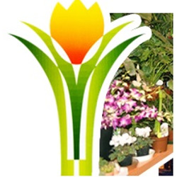 Piante e Fiori Valletti Mario di Seghetta Paola, Città della Pieve orari di apertura
