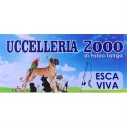 Uccelleria 2000 - Madagascarshop.it, Paola orari di apertura