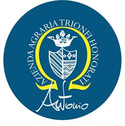 Trionfi Honorati Antonio, Jesi orari di apertura