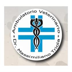 Veterinario Triola Dr. Massimiliano, Terni orari di apertura