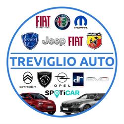 Treviglio Auto SRL, Fara Gera d'Adda orari di apertura