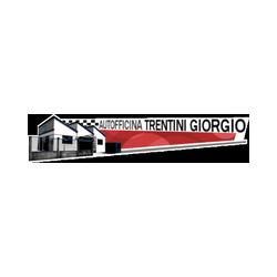 Autofficina Meccatronica Trentini, Porto Mantovano orari di apertura