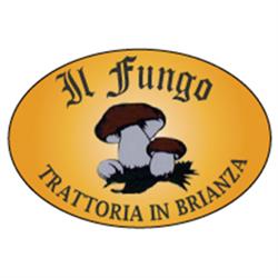 Ristorante Trattoria Il Fungo, Alzate Brianza orari di apertura