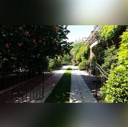Trattoria Dal Ragionier, Castel d'Azzano orari di apertura