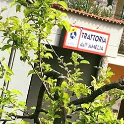 Trattoria Dall'amelia, Schio orari di apertura