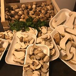 Trattoria Da Genio, Genova orari di apertura