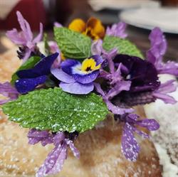 Ristorante Trattoria Bel Deuit, Baldissero Torinese orari di apertura