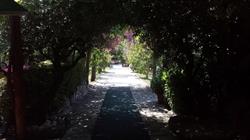 Trattoria Alla Vigna, Montegrotto Terme orari di apertura