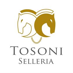 Tosoni Selleria Di Tosoni A. & e.(S.n.c.), Montichiari orari di apertura