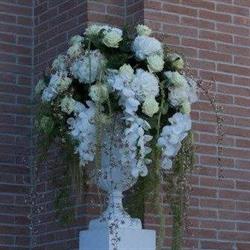 Tortora Giulio, Marano di Napoli orari di apertura