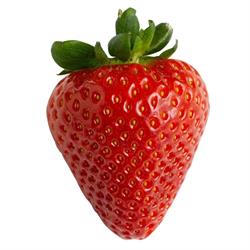 Tortifrutta SRL, Milano orari di apertura