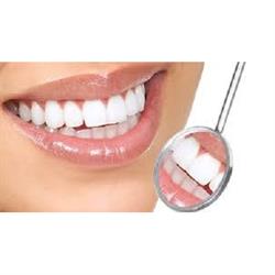Torsello Dr. Stefano e Dr. Pietro Studio Dentistico, Alessano orari di apertura