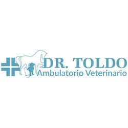 Clinica Veterinaria 2ville, Dueville orari di apertura